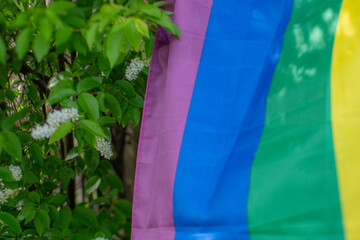 Bush with white flowers and Ukrainian flag. Spring.
