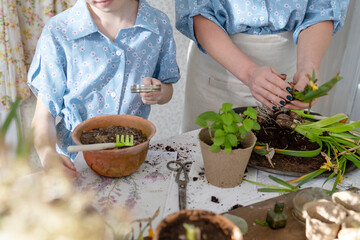 young woman mom and her little daughter in family look dresses are planting flowers on spring terrace in home garden, seedlings growing, country house veranda, motherhood