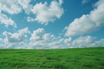 Fototapeta na wymiar Green grass under blue sky with fluffy clouds. Natural landscape with green field at summer day