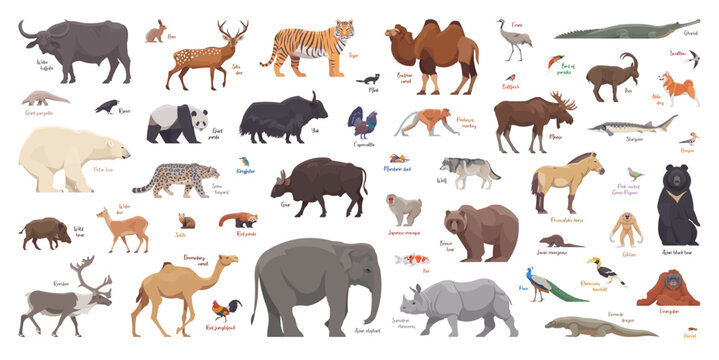 Flat set of asian animals. Isolated animals on white background. Vector illustration