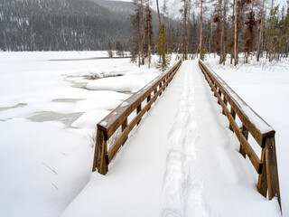 Wooden footbridge with snow and snowshoe tracks