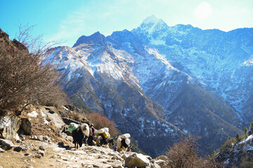 Beautiful way to Everest Base Camp