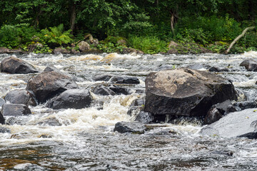 Naklejka na ściany i meble a fast river with rapids on the background of a wild forest