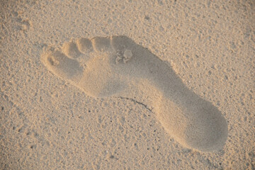 Footprints in the sand on the beach