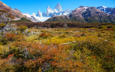 Autumn in Patagonia