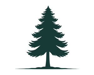 pine tree vector, wild tree, forest tree, christmas tree, decoration tree, outdoor	
