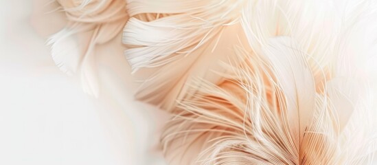 Close up of Beautiful fluffy abstract feathers on beige background. copy space. generative AI image - obrazy, fototapety, plakaty
