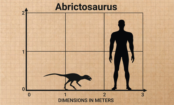 Comparing the size of Abrictosaurus to the average adult human male (1.8 meters)	