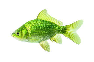 A charming green fish swimming gracefully against a pristine white background