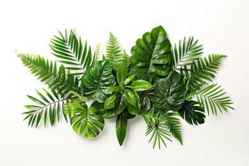 A modern arrangement of lush green leaves adorning a white wall