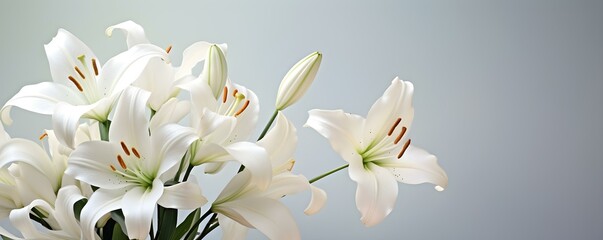 Fototapeta na wymiar Closeup of pristine white lilies on a light backdrop symbolizing purity. Concept White Lilies, Closeup Photography, Symbolism, Purity, Light Background