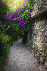 Picturesque gravel pathway in the botanical garden, Menton, France - 750124415