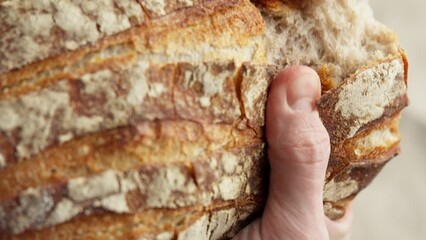 Homemade bread breaking. Baker hands breaking bread. Craft organic bread. Male baker hands breaking homemade bread. Bakery concept. Close-up in 4K, UHD