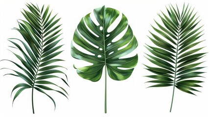 Lush Tropical Palms and Monstera Foliage Generative AI