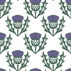 Seamless pattern with thistles on white background. 