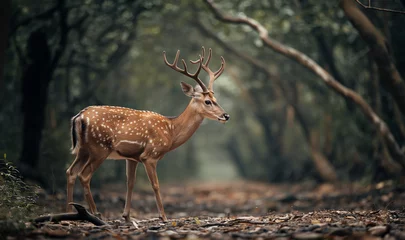 Fotobehang Deer standing in the jungle. Generative AI © Nipawan