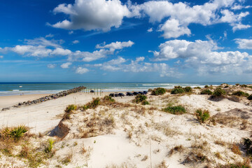 Beach sand dunes in New Smyrna beach in sunny day, Florida. - 750131458