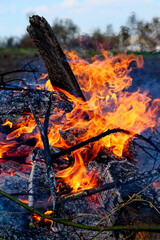 Orange flames contrast against the blue sky. Illegal burning of leaves and dry grass.
