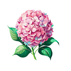 Beautiful hydrangea flower with green leaves branches