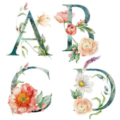 Watercolor floral letters set of A, B, C, D with plants. Hand drawn alphabet symbols of flowers and leaves isolated on white background. Holiday Illustration for design, print, fabric or background. - 750138648