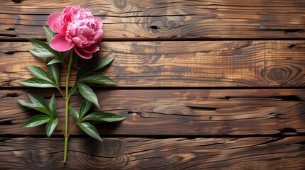 a single pink peony sitting on top of a wooden planked wall next to a stem of green leaves.
