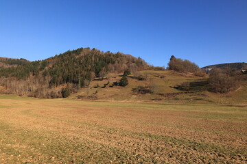 Fototapeta premium Blick auf die Naturlandschaft des Schwarzwaldes in der Nähe der Stadt Schönau 