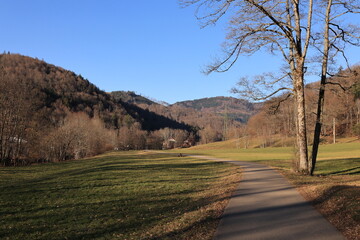 Fototapeta na wymiar Blick auf die Naturlandschaft des Schwarzwaldes in der Nähe der Stadt Schönau 