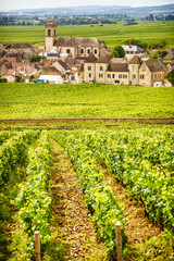Fototapeta na wymiar Vineyards and Pommard village, Burgundy in France.