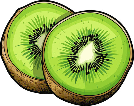 sliced kiwi fruit, green, brown, close up clip art preview