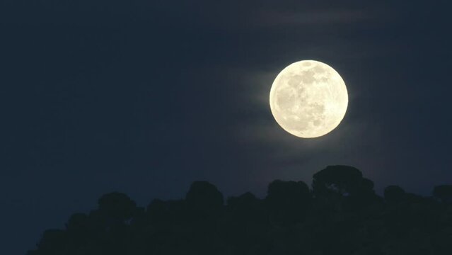 full moon above a forest 