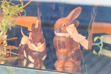 Two chocolate easter bunnies in a store display