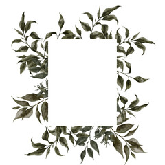 frame with watercolor hand draw green sage, leaves, branches, isolated on transparent background, PNG files