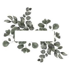 frame with watercolor hand draw green sage, leaves, branches, isolated on transparent background, PNG files