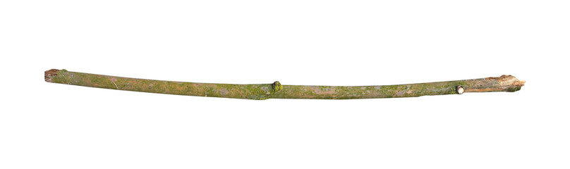 A stick covered with moss isolated on transparent background