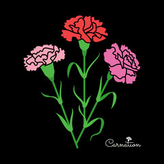 Bouquet of red and pink carnations isolated on black background. Flower icons. Floral decorative elements.