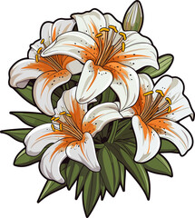 Lily flower clipart design illustration