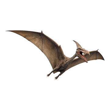 Pteranodon, Pterodactylus dinosaur on transparent background Generative AI