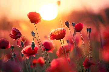 Gordijnen red poppy field © Olha