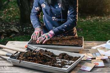 spring planting seeds in the ground, young woman prepares the soil and plants seeds from her hand in the ground, tools and garden work - obrazy, fototapety, plakaty