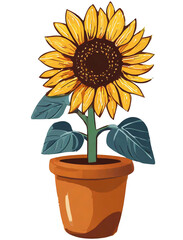 Obraz premium Sunflower in a pot illustration on a white background