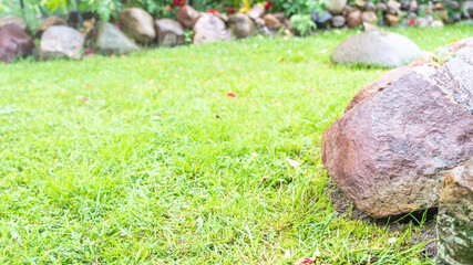 Beautiful lawn grass and stone background on lawn, background for design, big stone lying on lawn, sun flare, tinted image, blank for design, backyard