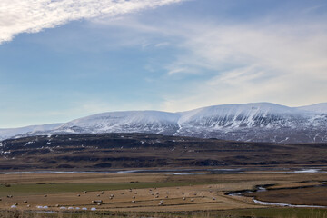Fototapeta premium Autumn nature with pastures and mountains, Iceland