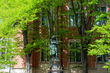 Nicolaus Copernicus Statue among spring greens. Krakow, Poland.