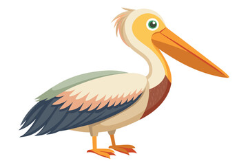 pelican vector art work illustration 