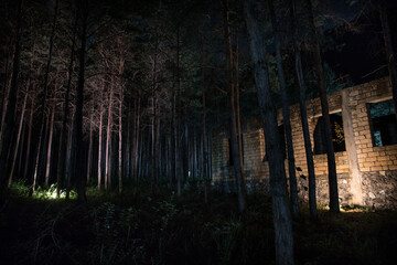 Old abandoned building in forest, Facade ruins of industrial factory. Spring long pine forest