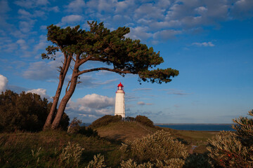 Malerischer Leuchtturm Dornbusch mit markanter Kiefer auf der bezaubernden Ostsee Insel Hiddensee.
