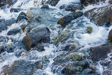 shallow beautiful alpine river with a fast flow and stones