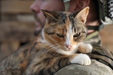 Naklejka na ściany i meble Ukrainian soldier with little stray cat, closeup