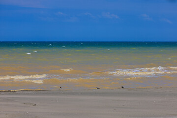 View of the beach and sea, summer sunny day