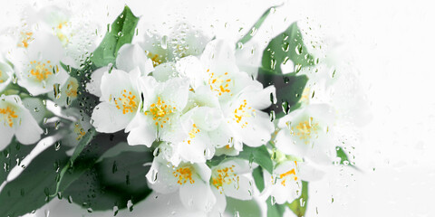 Bouquet of blooming jasmine flowers in vase, silhouette of jasmine flowers behind wet glass....